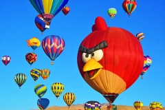 Angry Bird @ Great Reno Balloon Races