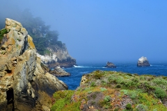 Point Lobos State Park on the Big Sur Coast