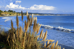 New Brighton Beach in Capitola, California