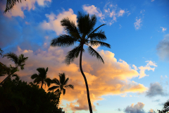 West Maui Sunset