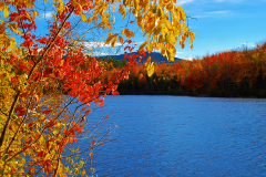 Fall Color in New Hampshire