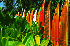 Maui Boardfence