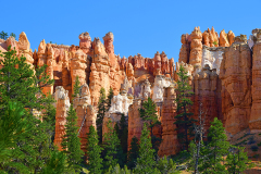 Red Canyon Hoodoos