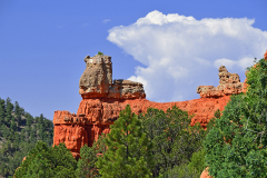 Red Canyon Hoodoos