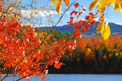 Fall Color @ Provence Lake in  New Hampshire