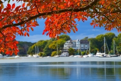 Fall Color in Manchester, Massachusetts